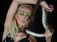 Models - Reptiles